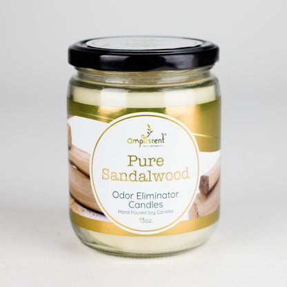 Ampliscent | Candles Odor Eliminator – 13oz